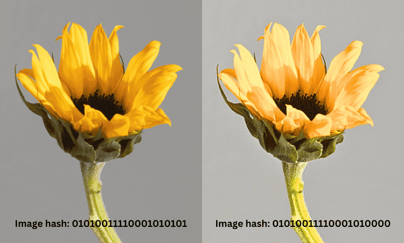 Example: Comparison of similar images with simalar hash